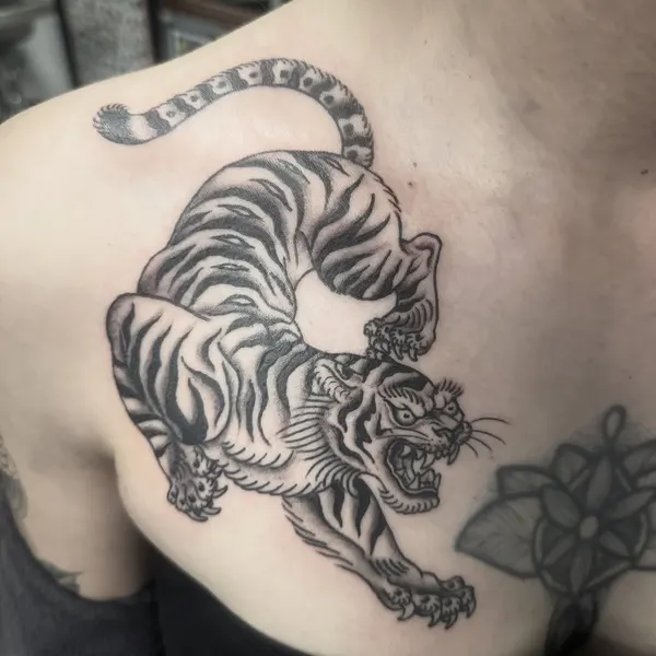 Tiger, 일본 호랑이, 중국 호랑이, 한국 호랑이