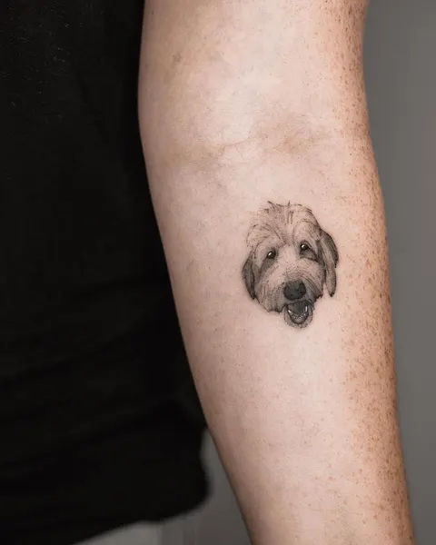 Animal, 판다, 고슴도치, 나무늘보