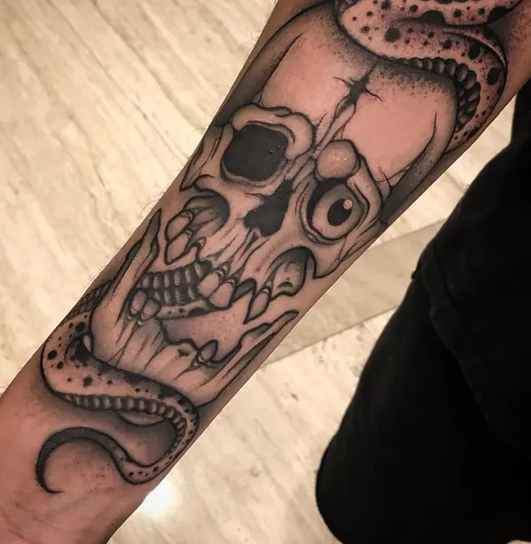 뼈, Skull