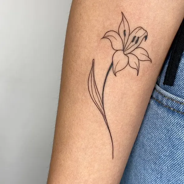 Flower, 모란, 백합, 난초, 튤립, 수선화, 아이리스