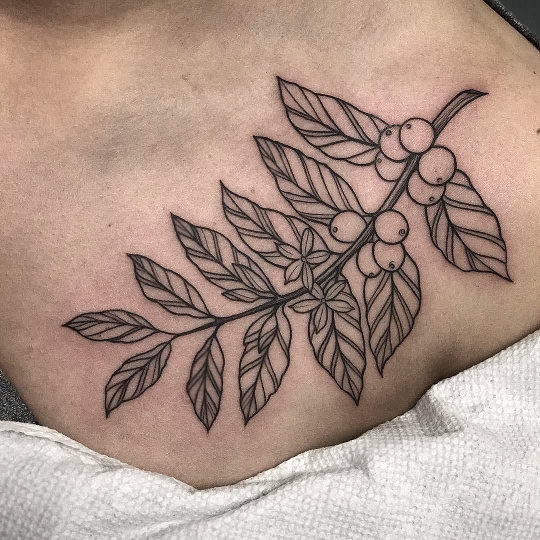 Flower, 잎, 은행잎, 단풍잎