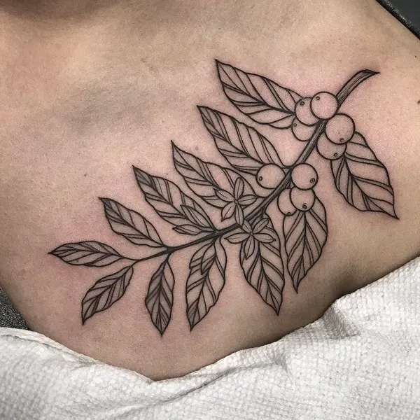 Flower, 잎, 은행잎, 단풍잎