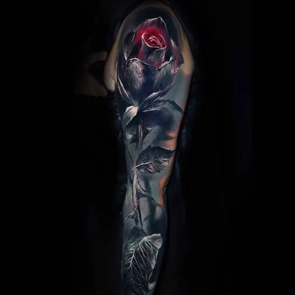 Flower, Rose