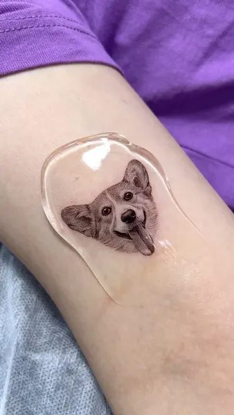 너구리