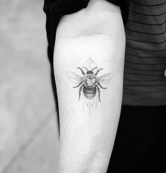 Animal, 벌, 딱정벌레, 무당벌레