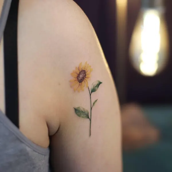 Flower, 국화, 데이지, 수선화, 해바라기