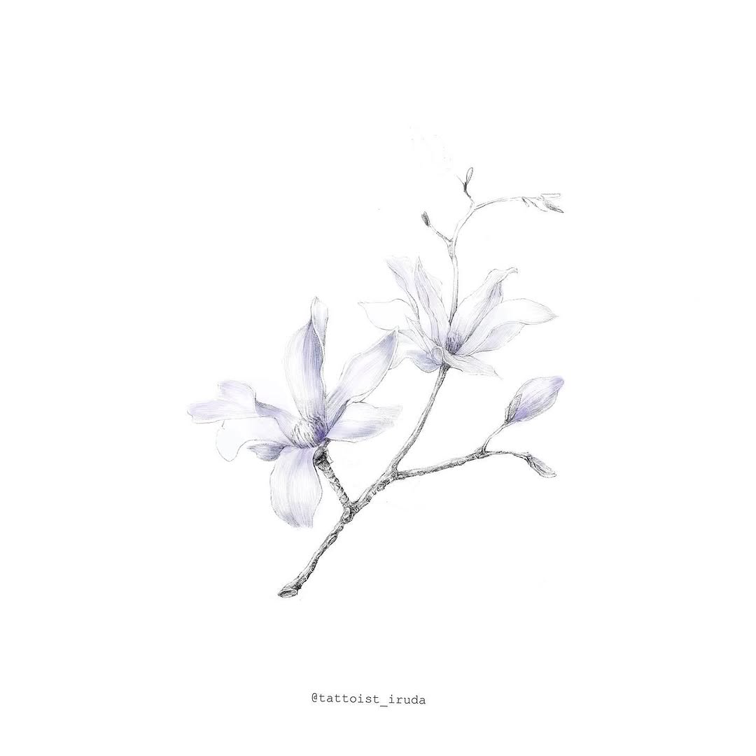 Flower, Nature
