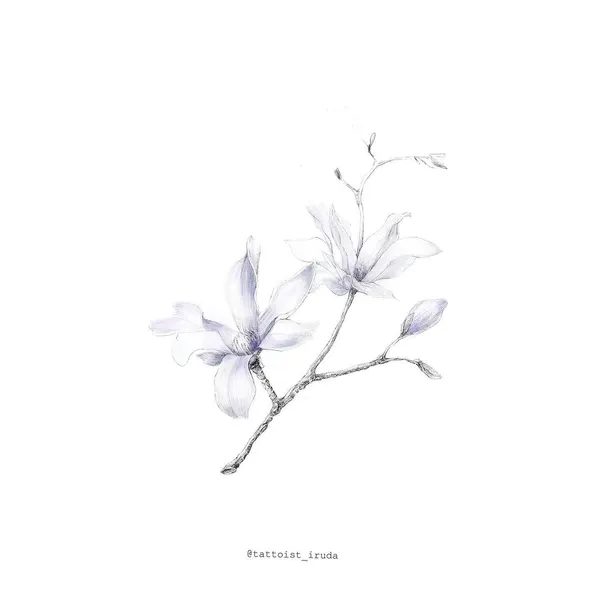 Flower, Nature
