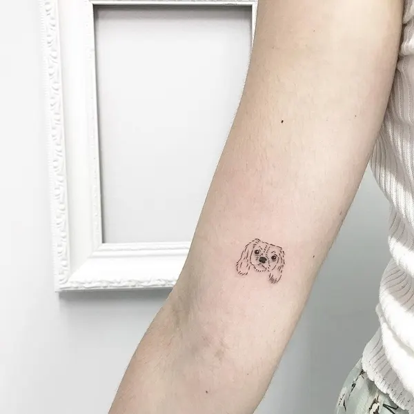 Lettering, 점, 황소자리, 양자리, 처녀자리, 물고기자리, 쌍둥이자리