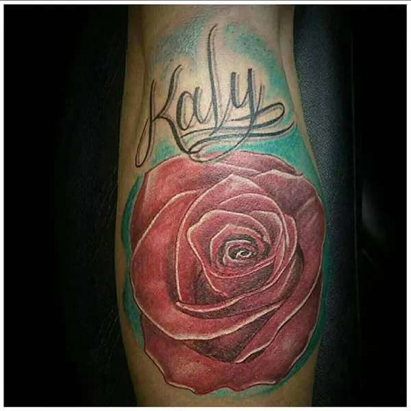 Flower, Rose