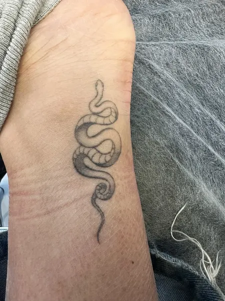 Dragon, 변화