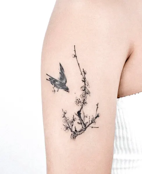 Nature, 일본 단풍, Flower, 매화, 벚꽃