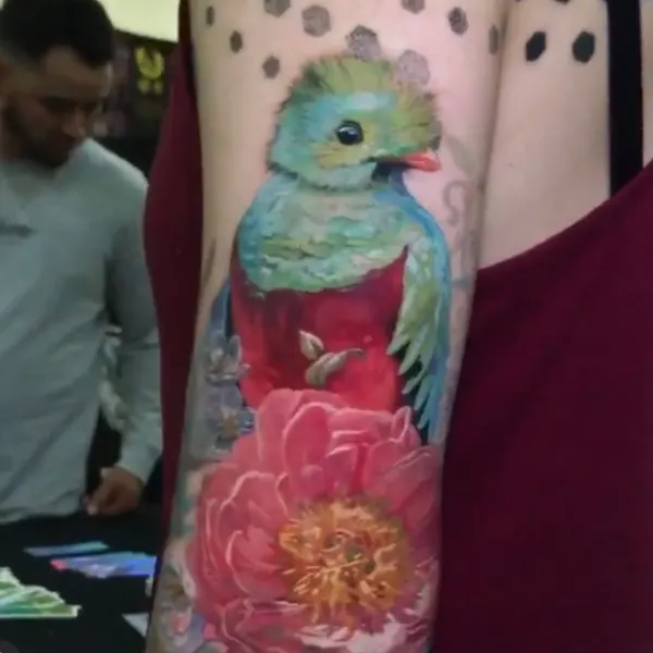 Flower, Animal, Nature