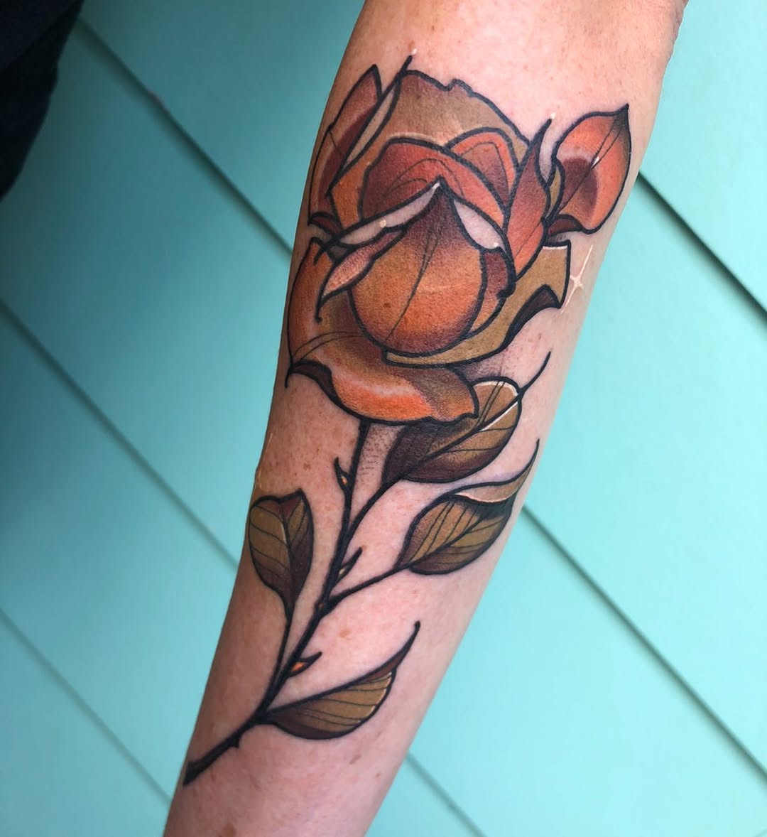 Flower, Rose, 목련