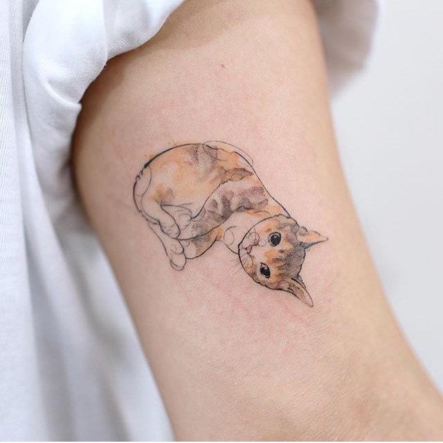 뼈