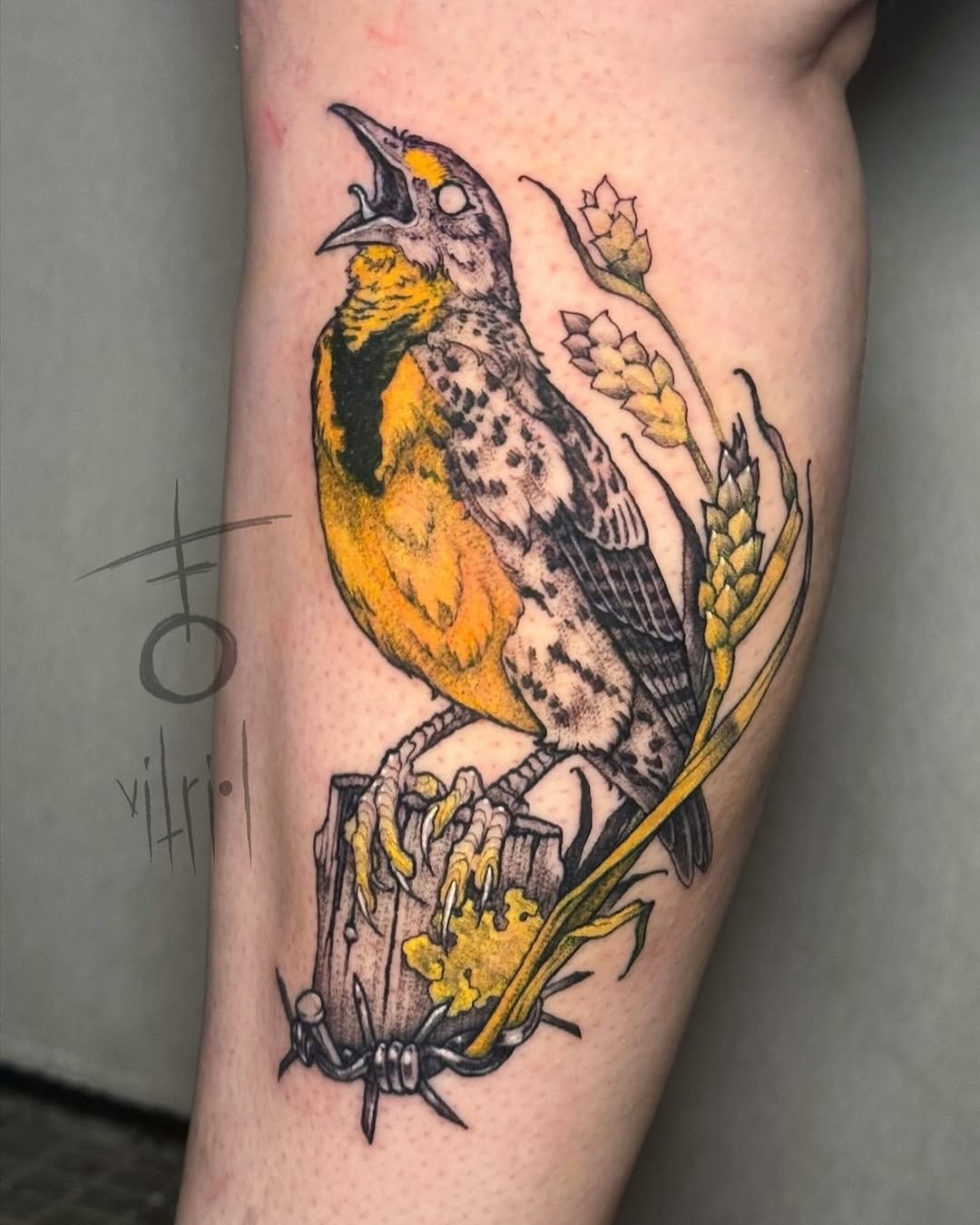 vitrioltattoo