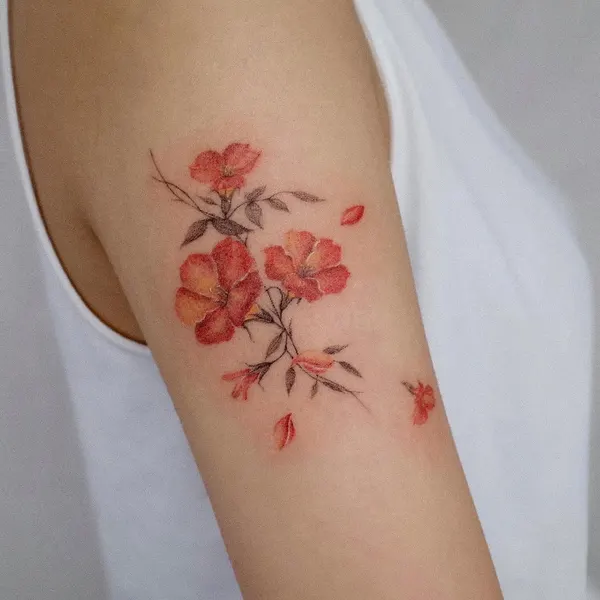 Flower, Rose, 꽃다발, 꽃 배경