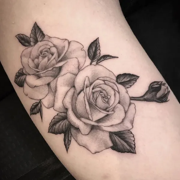 Flower, Rose