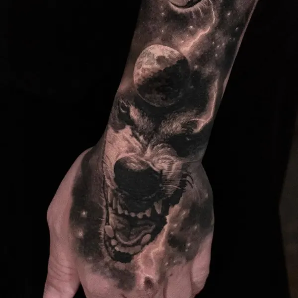 Animal, Tiger