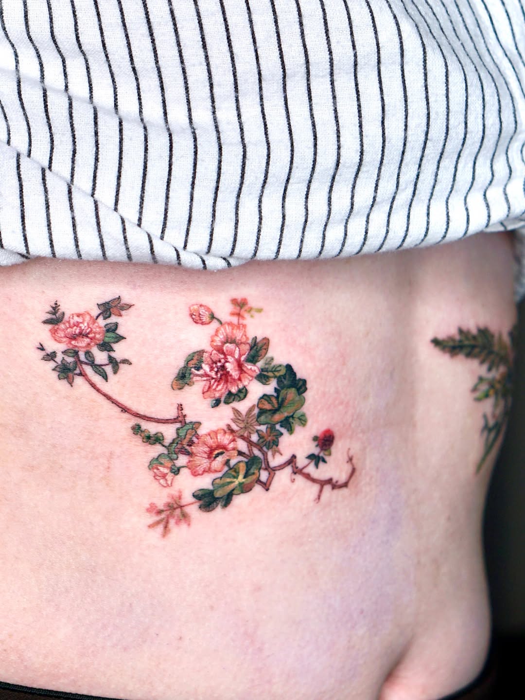 Flower, Rose, Nature