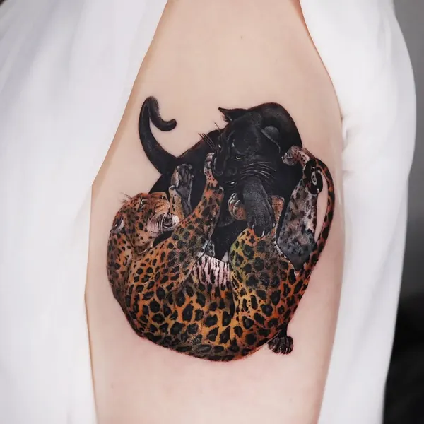 Animal, Tiger, 표범, 치타, 팬서