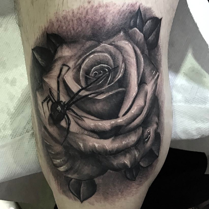 Flower, Rose, Animal