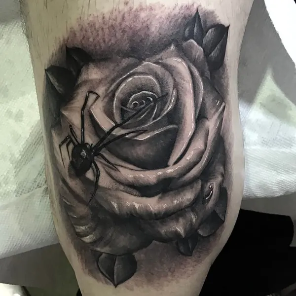 Flower, Rose, Animal