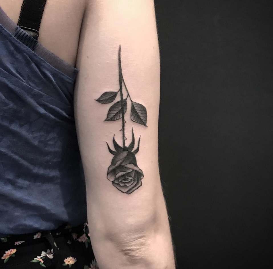 Flower, Rose