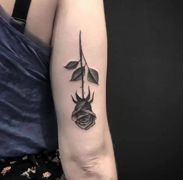 Flower, Rose