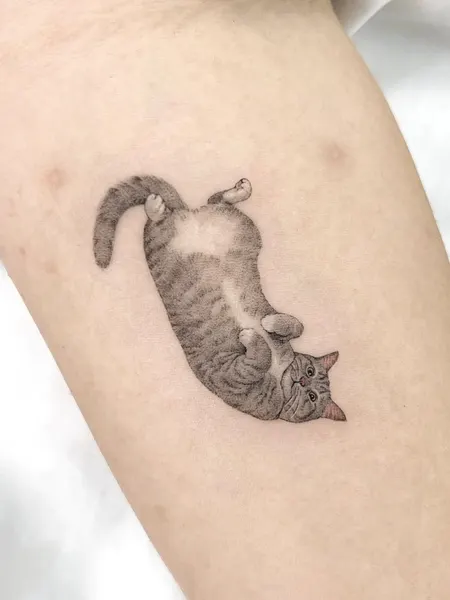 고양이