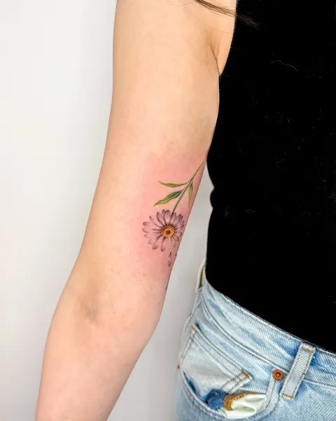 Flower, 국화, 데이지, 민들레