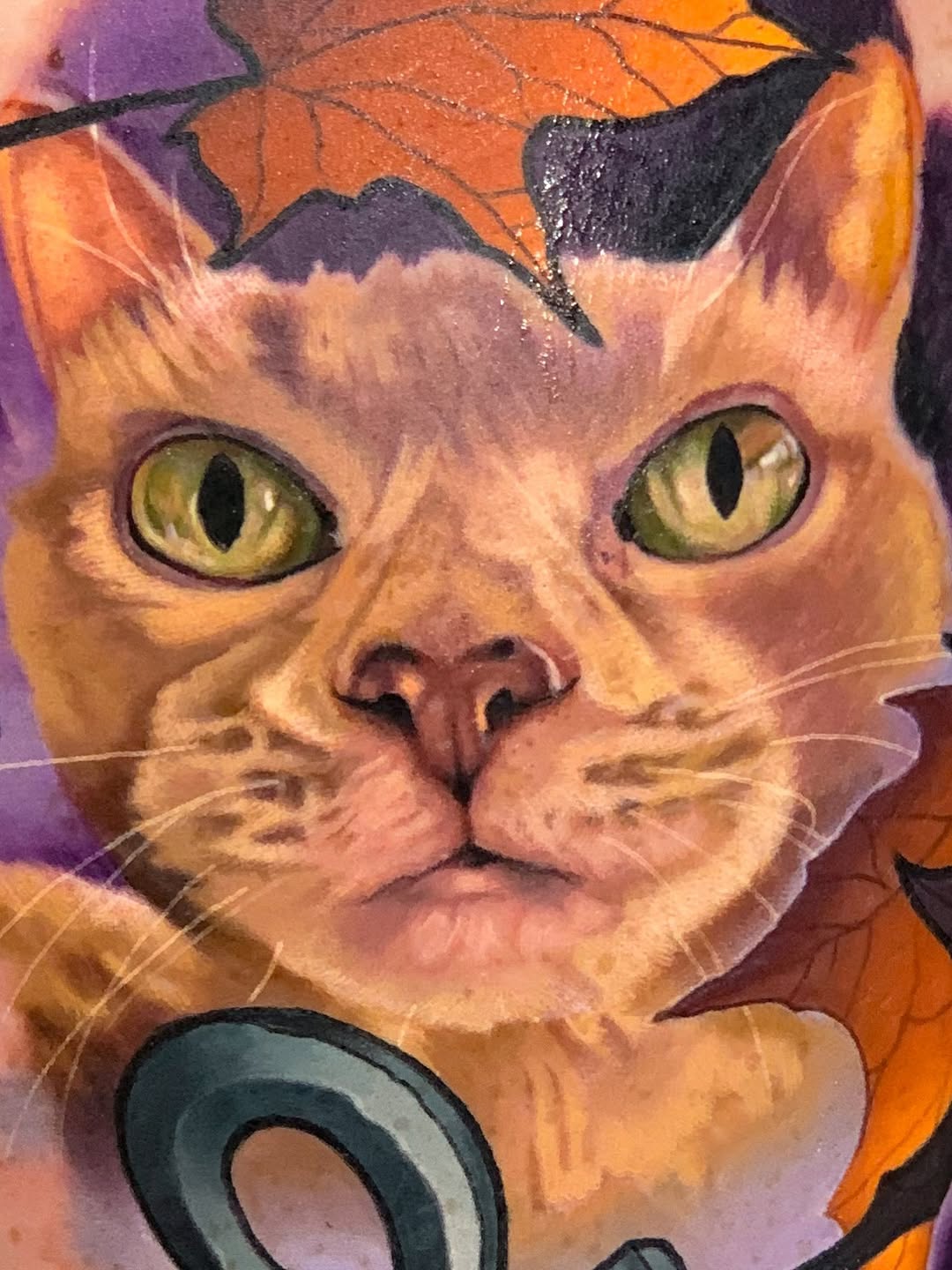 Animal