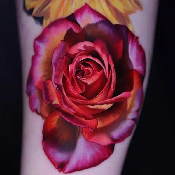 Rose, Flower