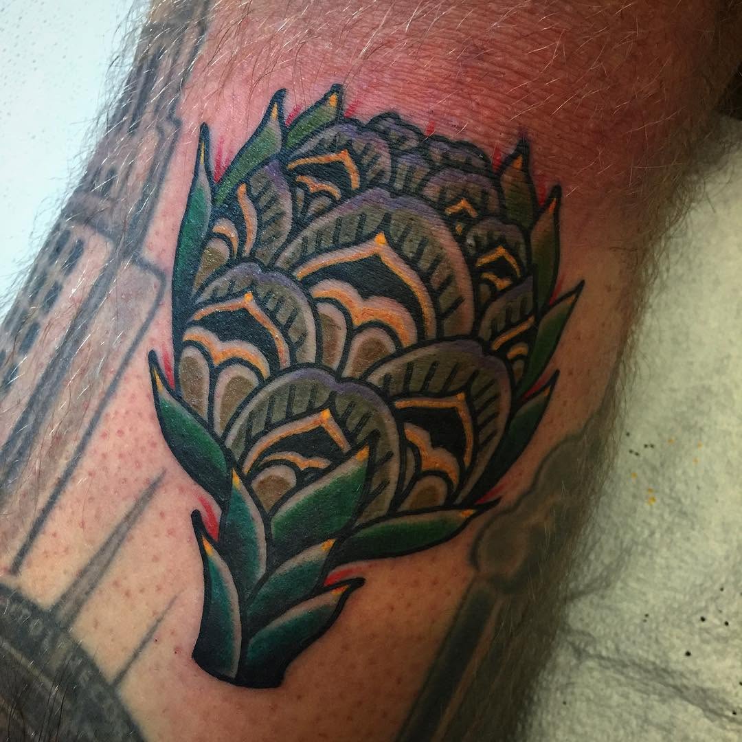 Flower, Rose, 선인장