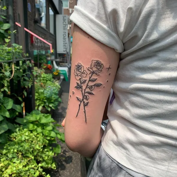 Flower, Rose