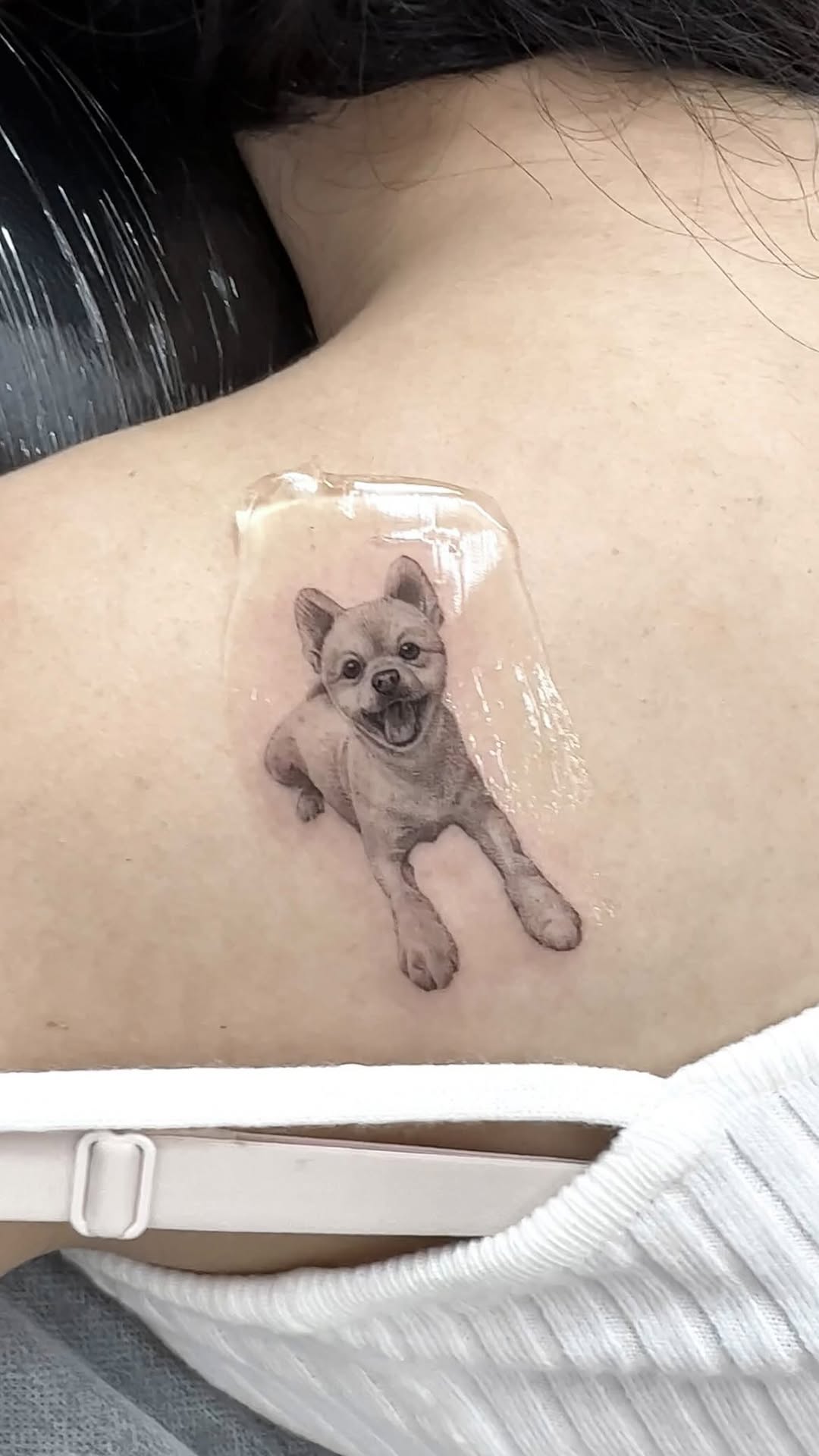 강아지, 반려동물, 반려동물 추모