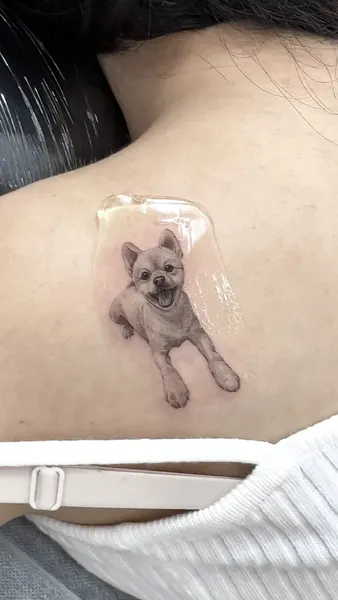 강아지, 반려동물, 반려동물 추모