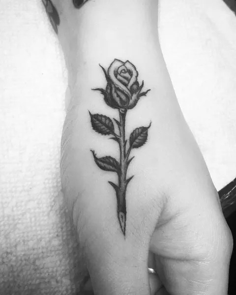 Flower, Rose