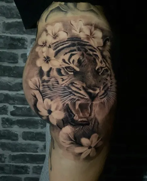 Tiger, 재규어