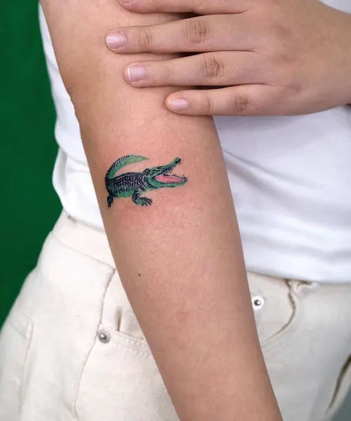 Dragon, 악어