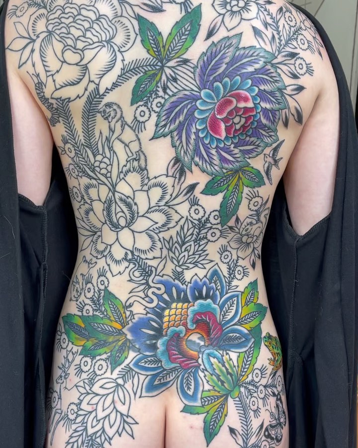 Flower, Nature, Rose