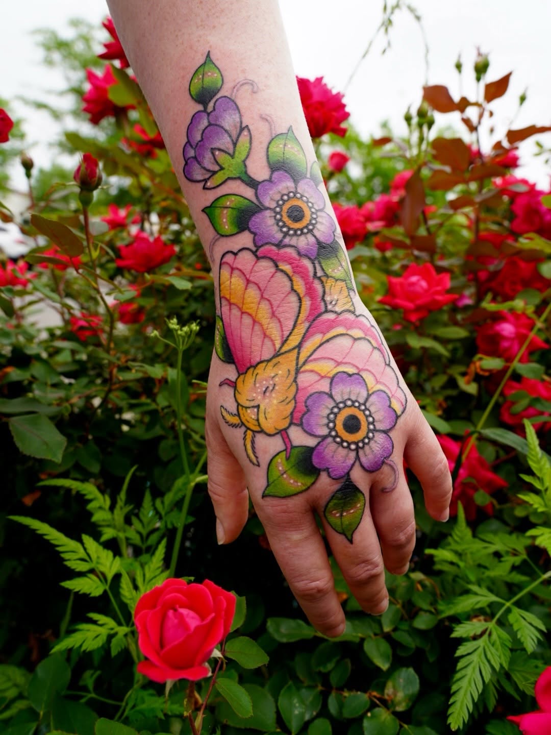 Flower, Animal, Rose, Nature