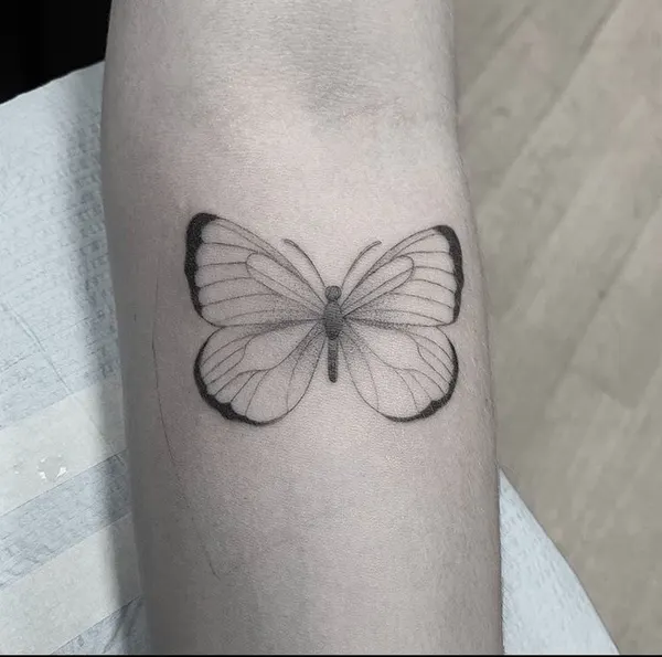 Animal, Nature, 나방