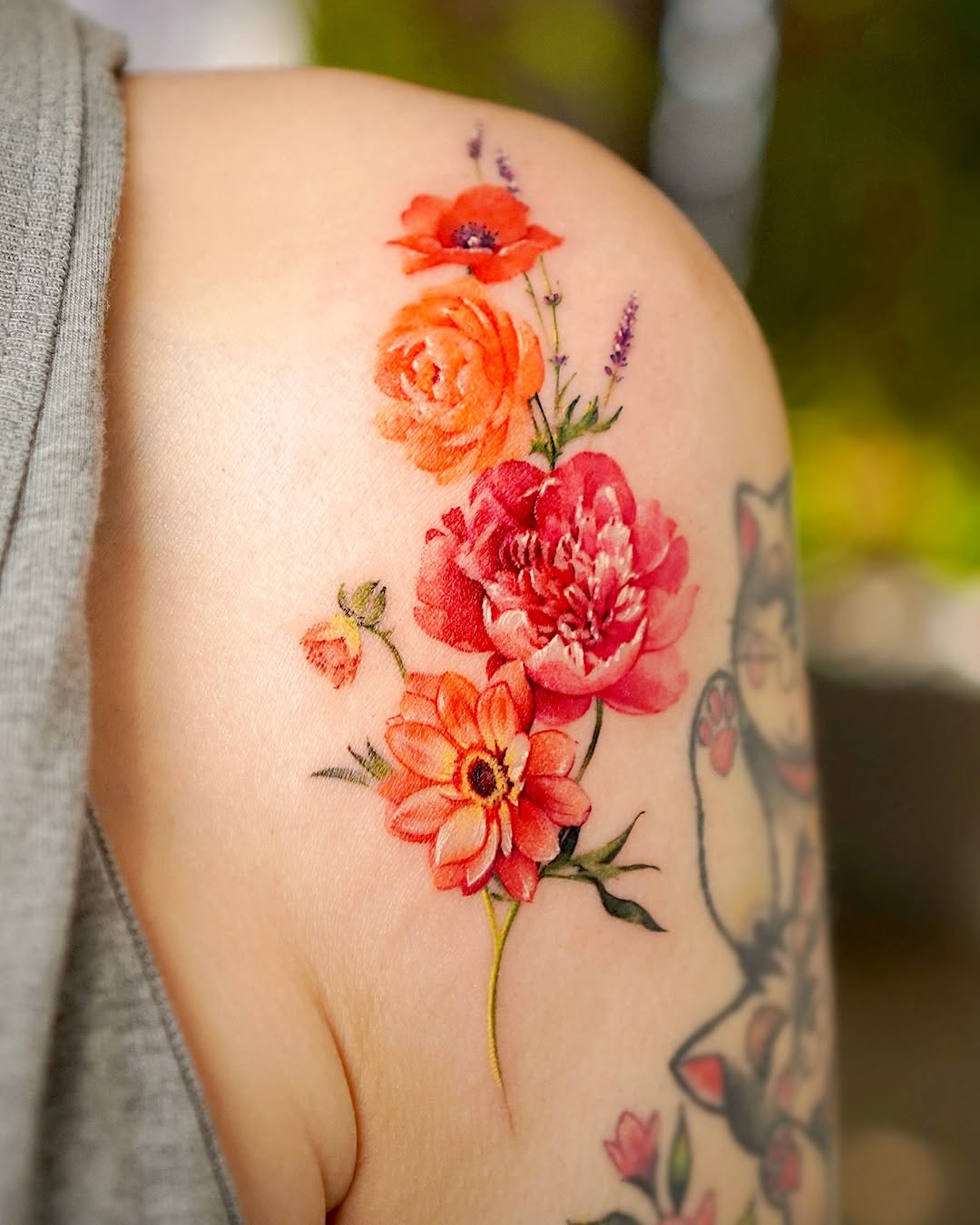 Flower, Rose, Nature