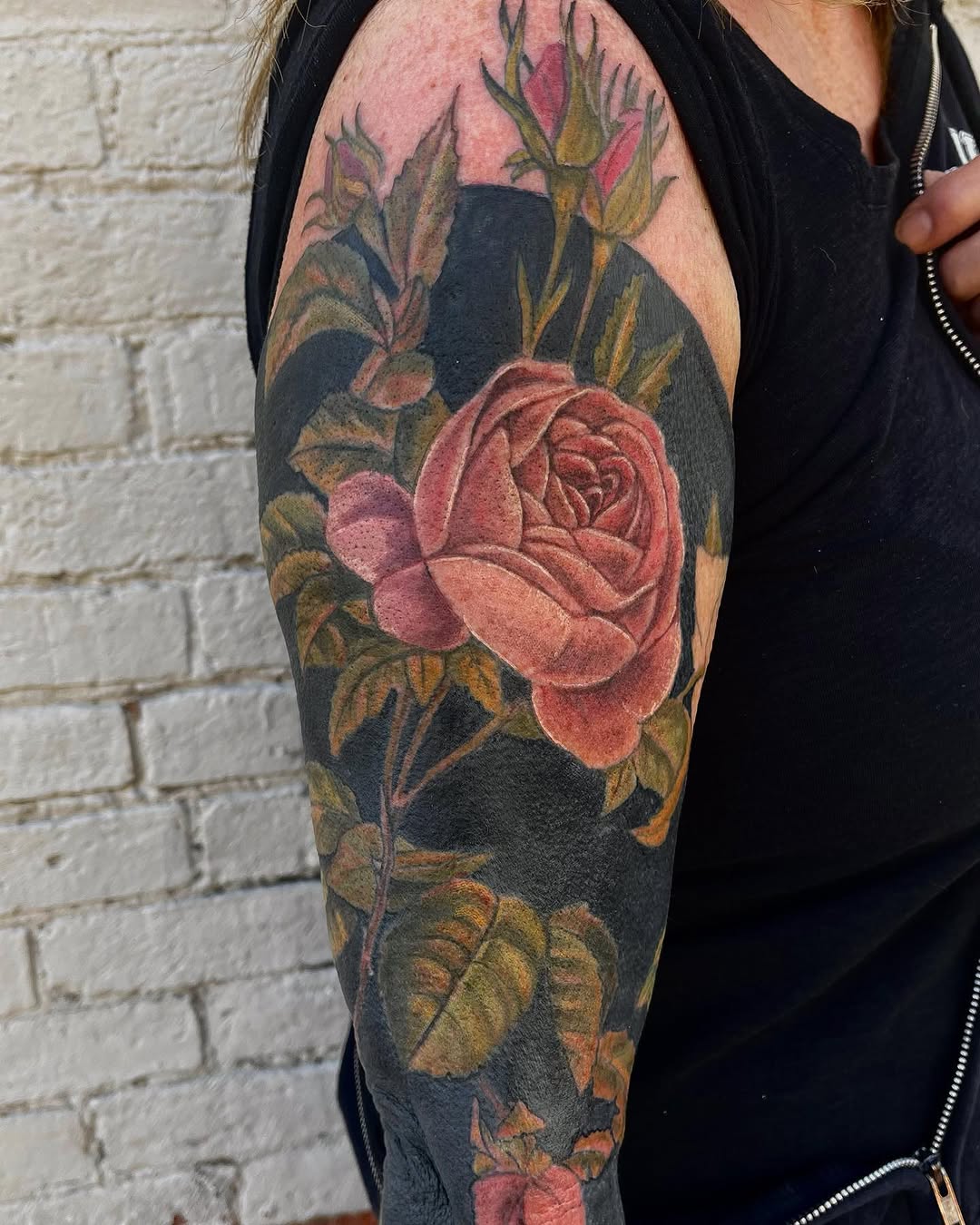 Flower, Rose, Nature