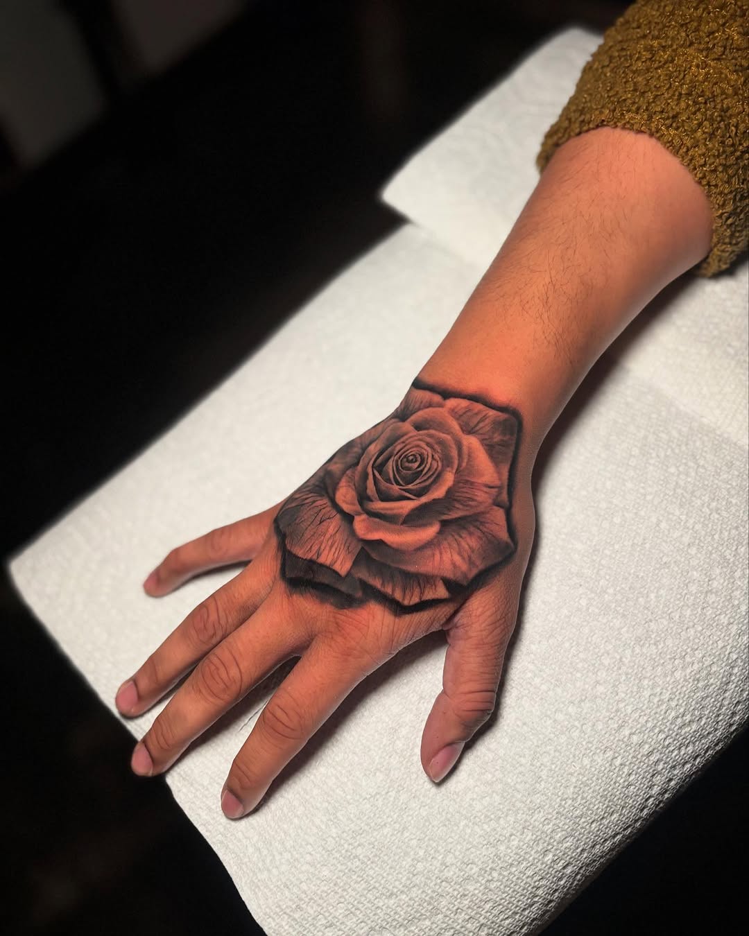 Flower, Rose