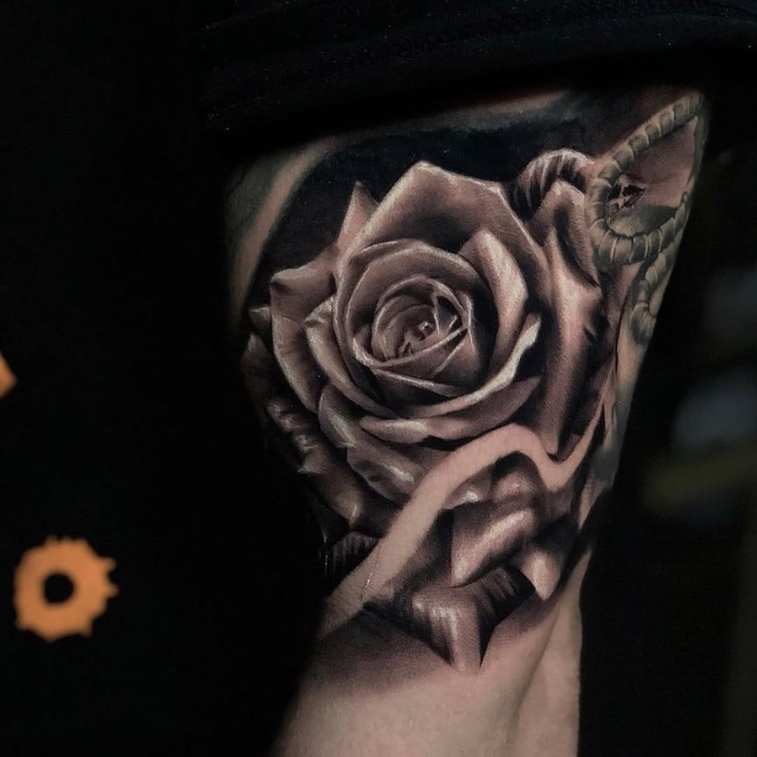 Flower, Rose