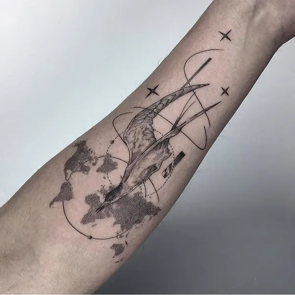 equilattera