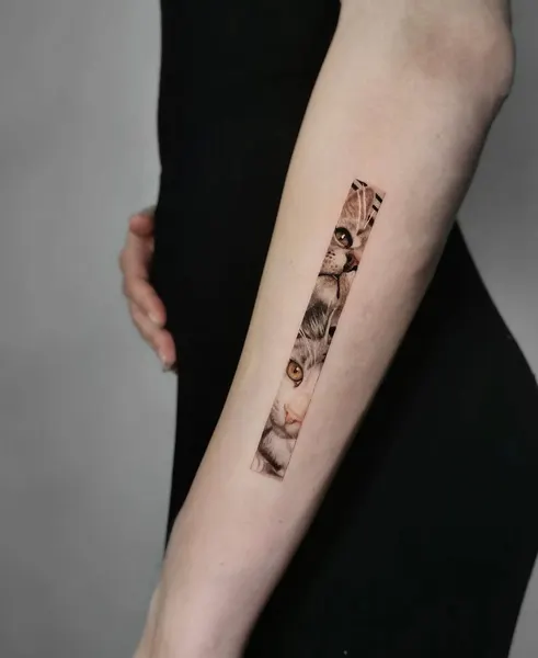 너구리, 다람쥐, 여우 가면, Animal
