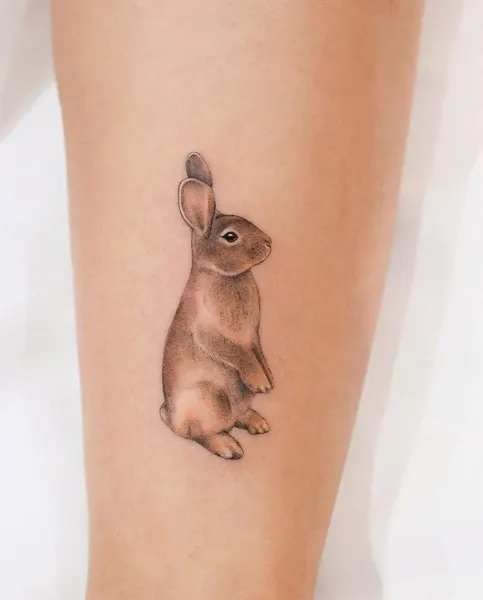 Animal, 쥐, 토끼, 다람쥐